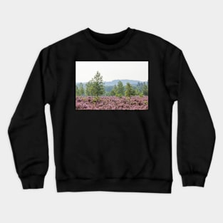 Heathland, morning mist, heather bloom, Niederhaverbeck Crewneck Sweatshirt